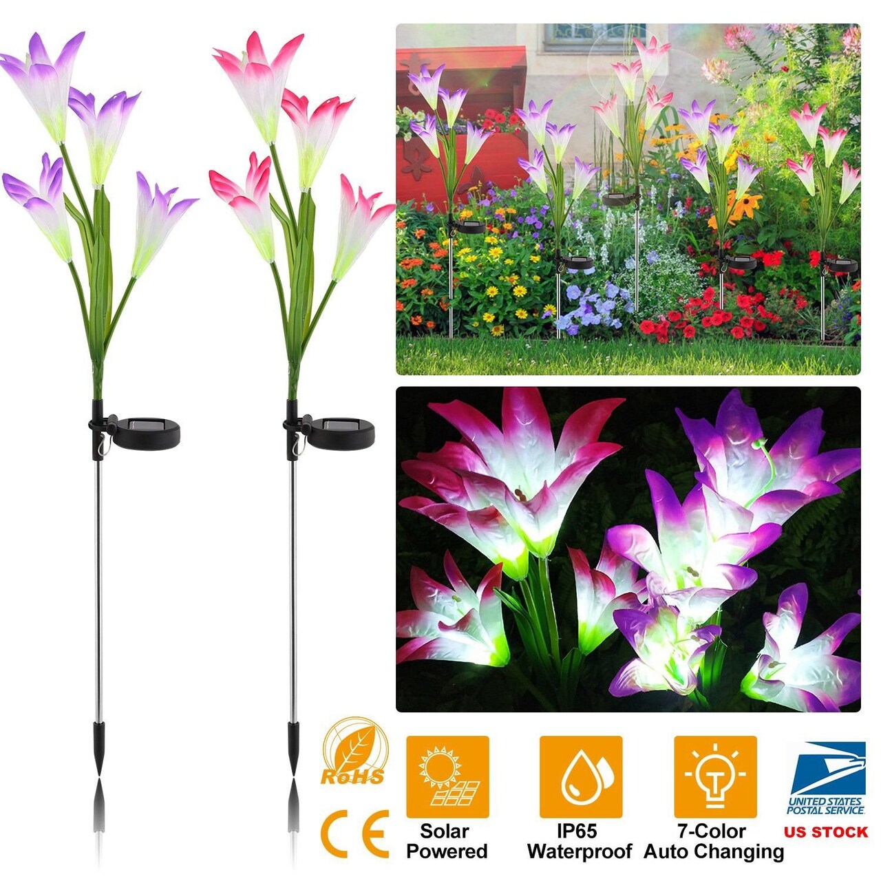 Edge Collections – Solar Garden Lily Flower LED Pathway Stake Lights with 7-Color Changing (IP65) – 2 Pieces